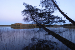 Jezero u Medvěžegorsku
