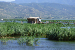 Vysychající a zarůstající jezero Dorjan